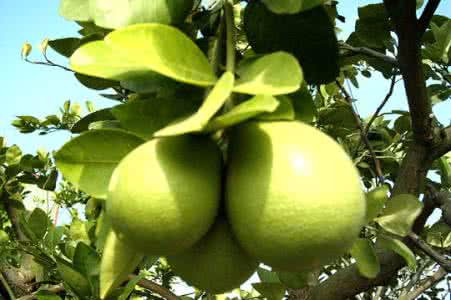 开云官方网站案例展示一