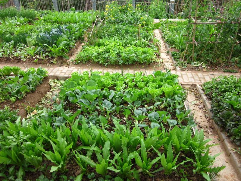 开云官方网站案例展示五